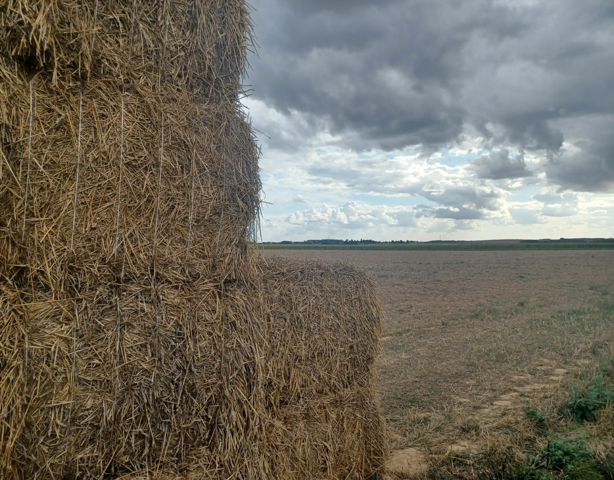 Marche familiale à Ansauvillers - LAURENT