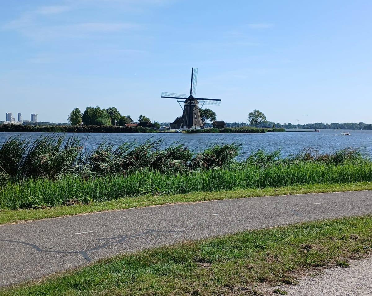 Langs de rotte bij blijswijk - Bleiswijk