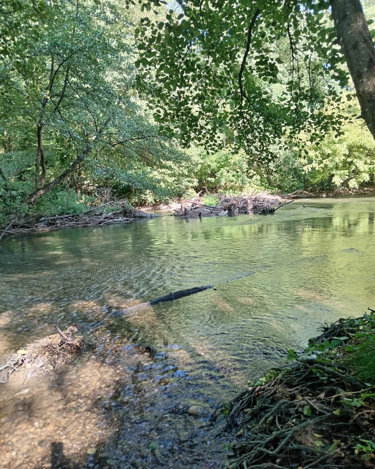 Sentier le long de la Bourbre - Chavanoz
