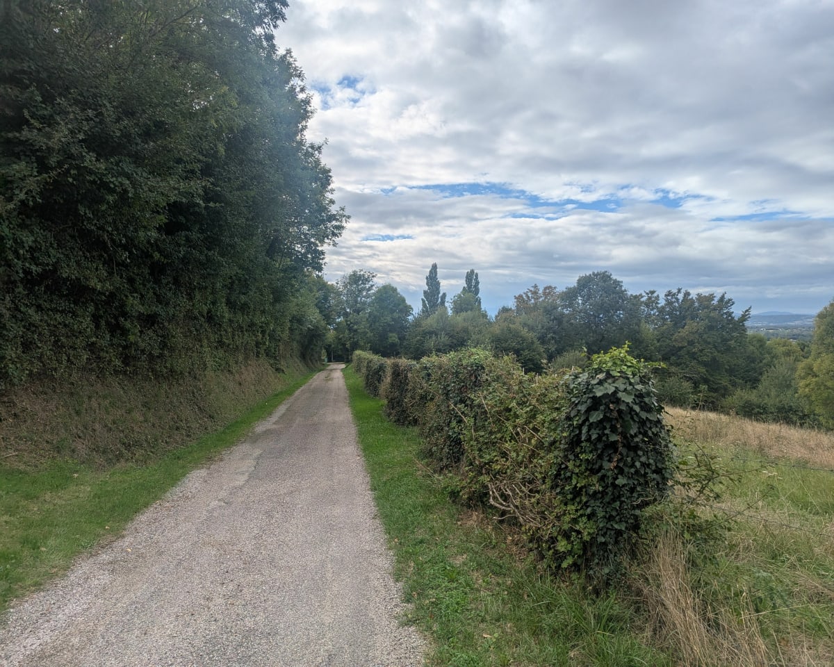 Rando autour de Beaurepaire - Beaurepaire