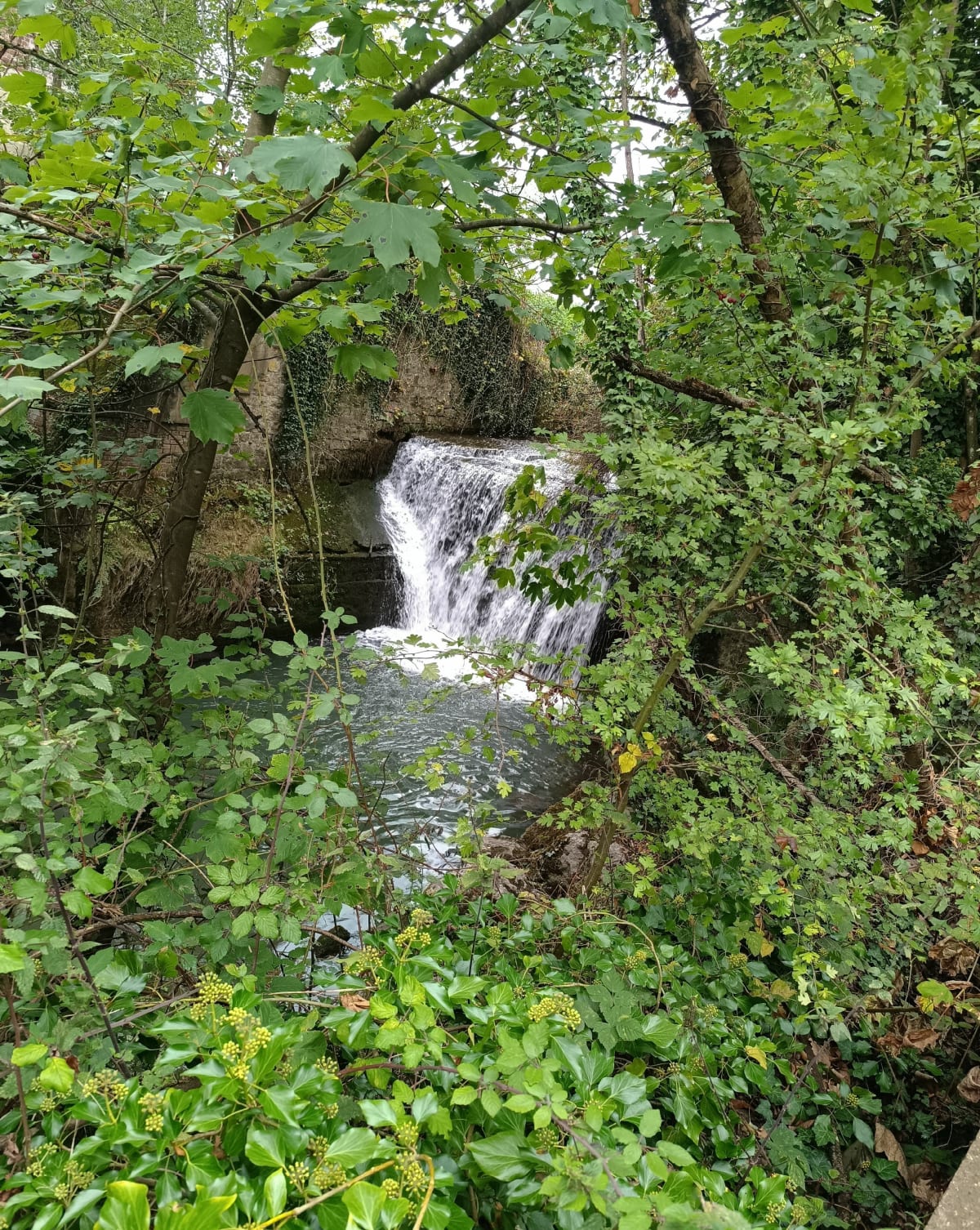 Balade de Cauchy-à-la-Tour à Bours - Thomas