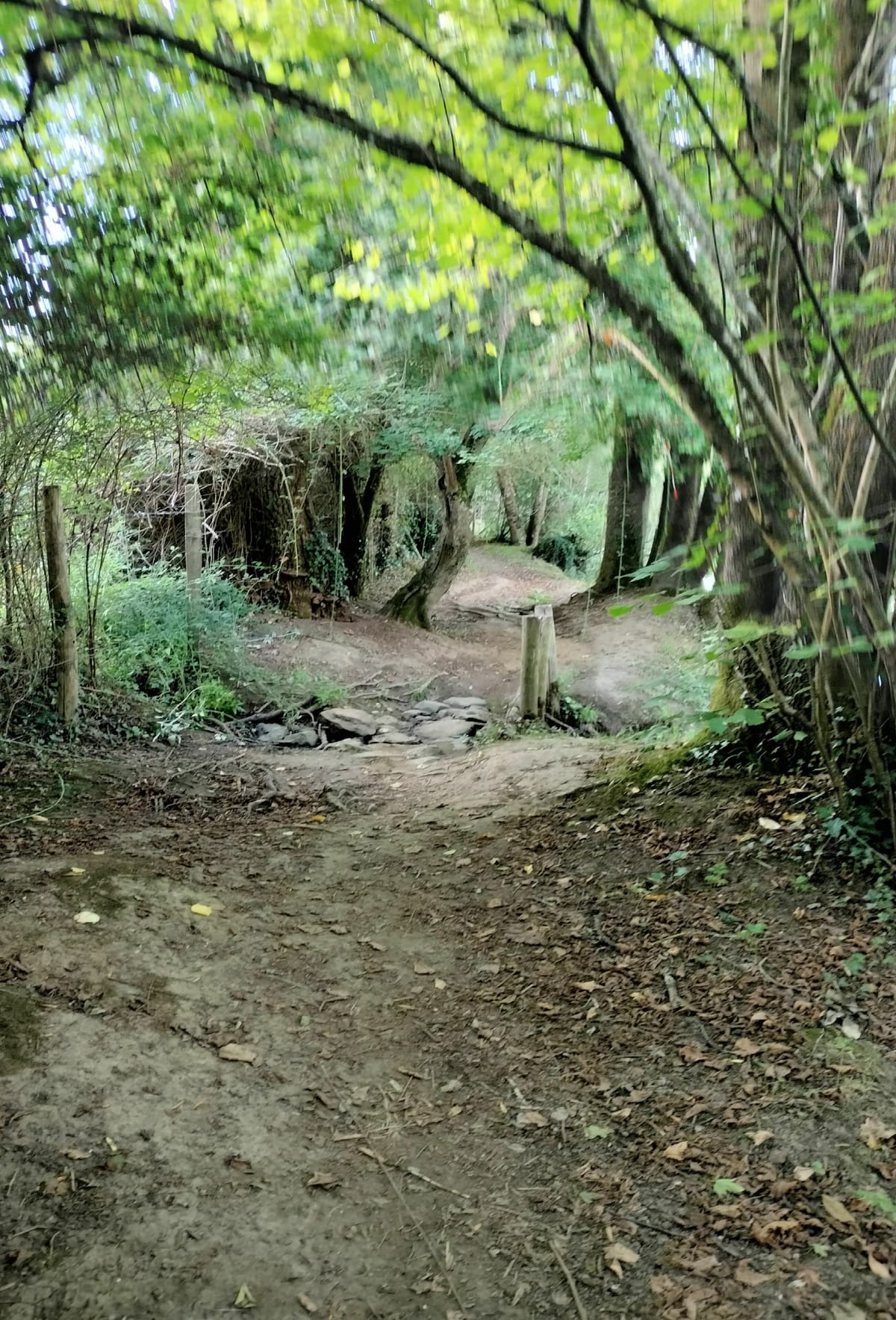 La grande Maine à Saint George de Montaigu - Adeline