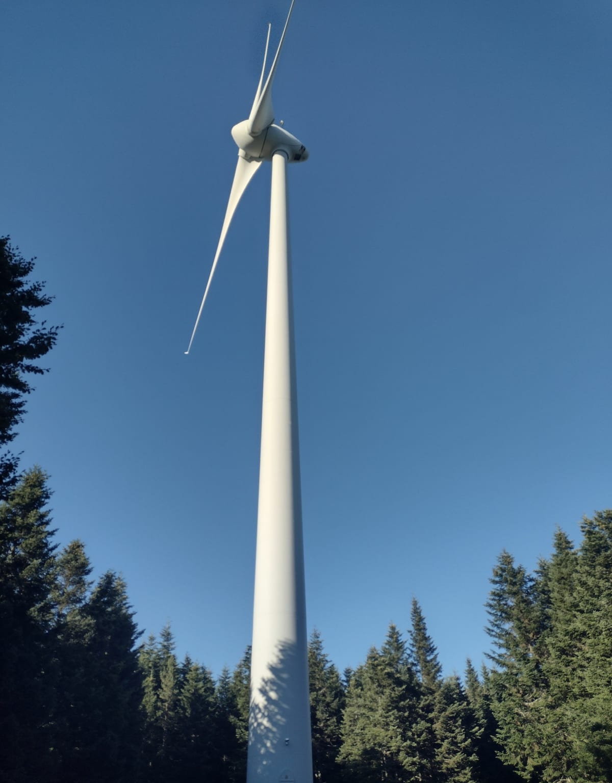 Parce des éoliennes monts de Randon - Veronique
