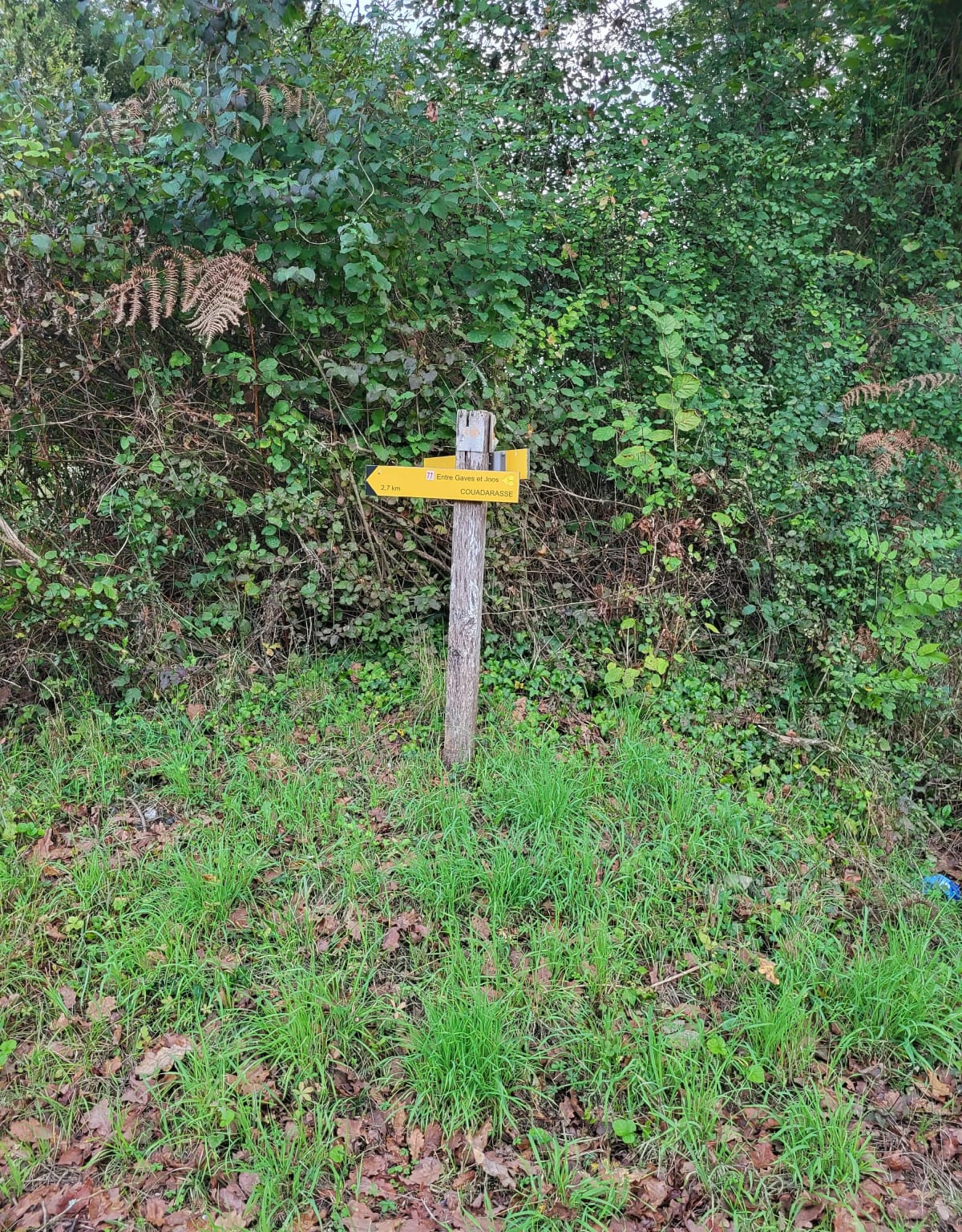 Petit circuit d'Orin à Moumour - Orin