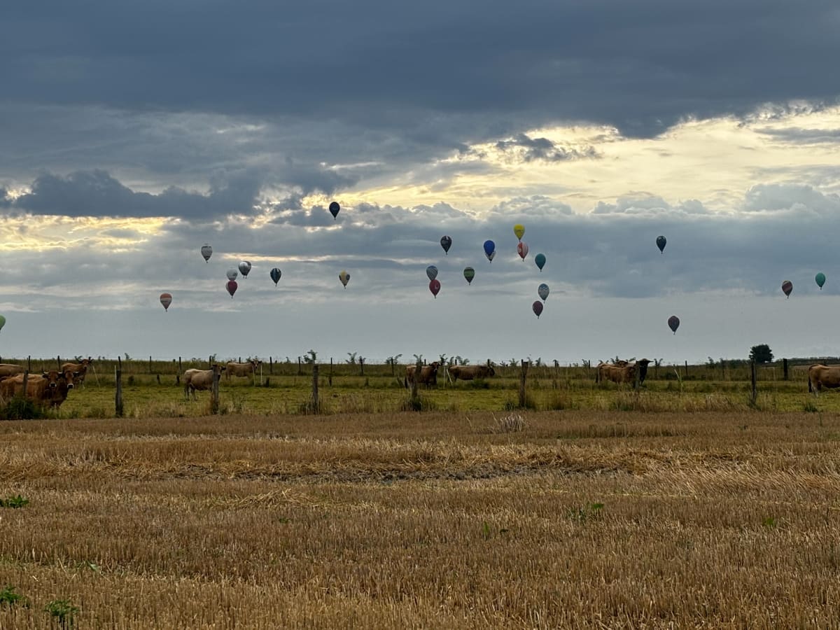 Le tour des Aubracs de Bray sur Somme - Bray-sur-Somme