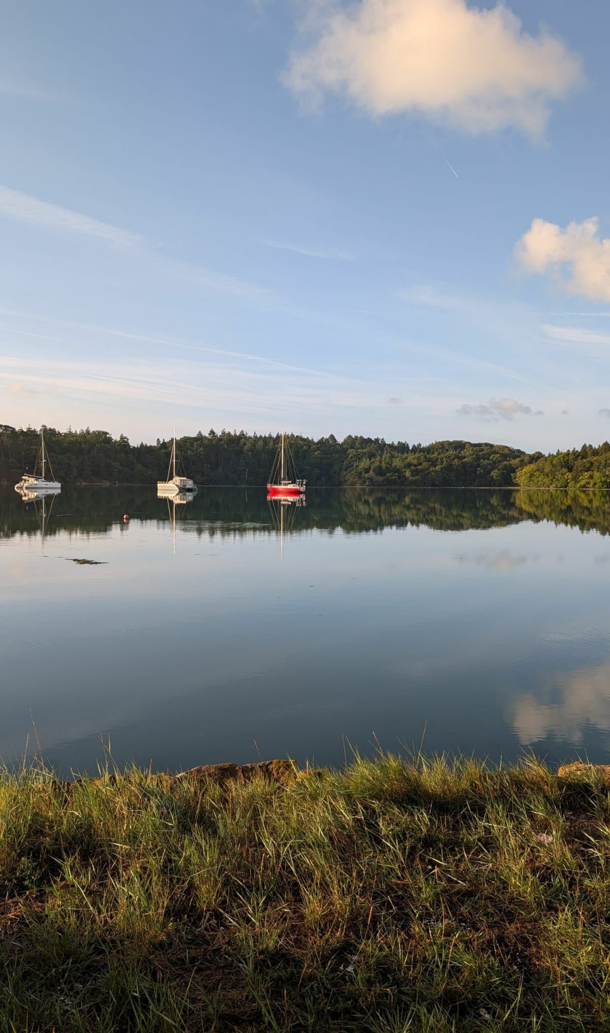 Rive Ouest de la rivière du Bono en direction d'Auray - Le Bono