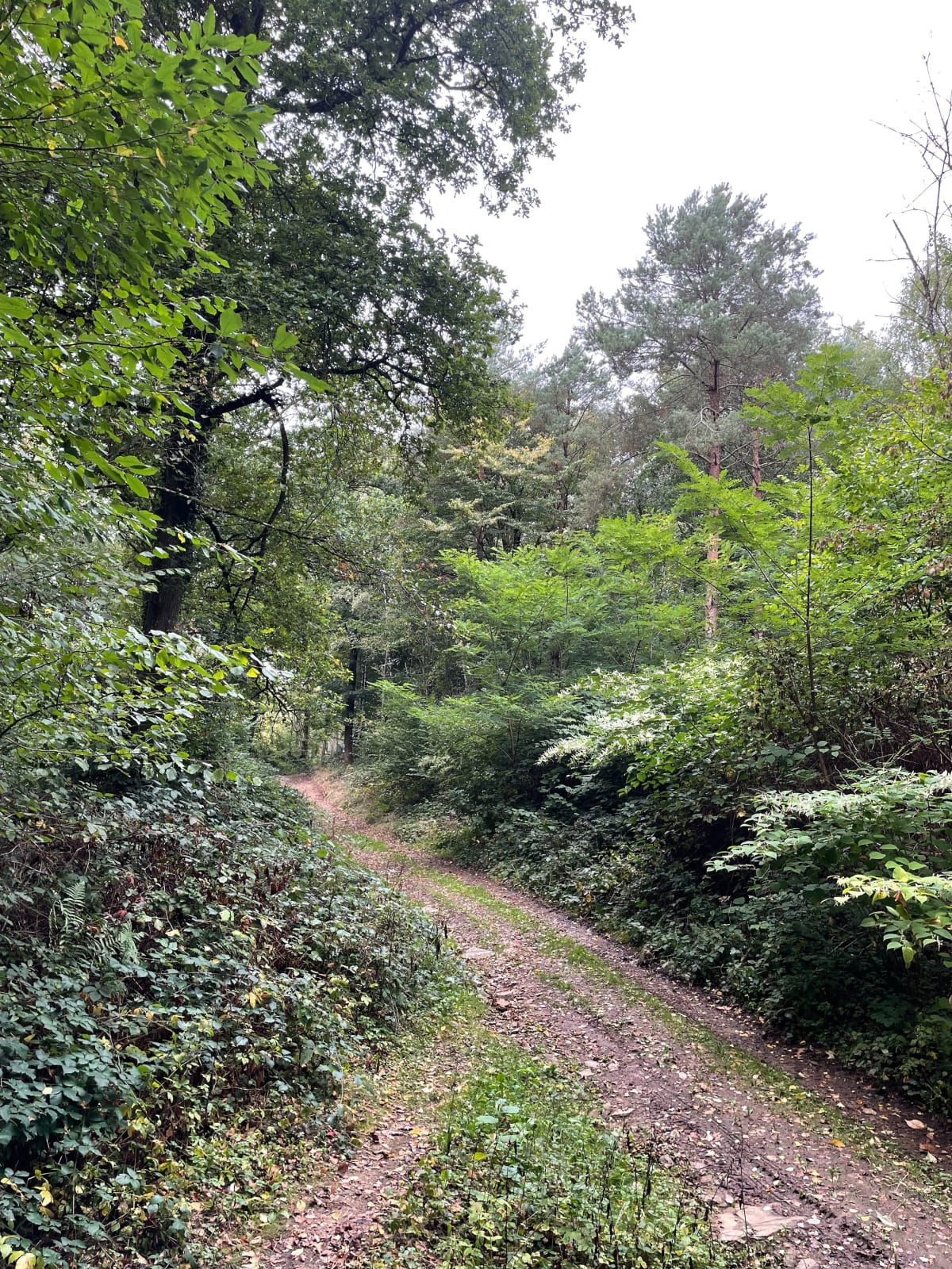 Tour de la carrière de Montcornet - Tia