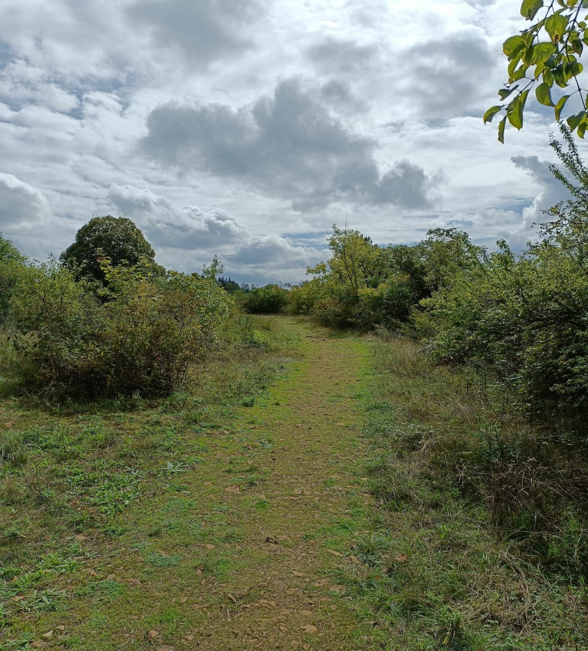 Plateau de Mancy - Lons-le-Saunier