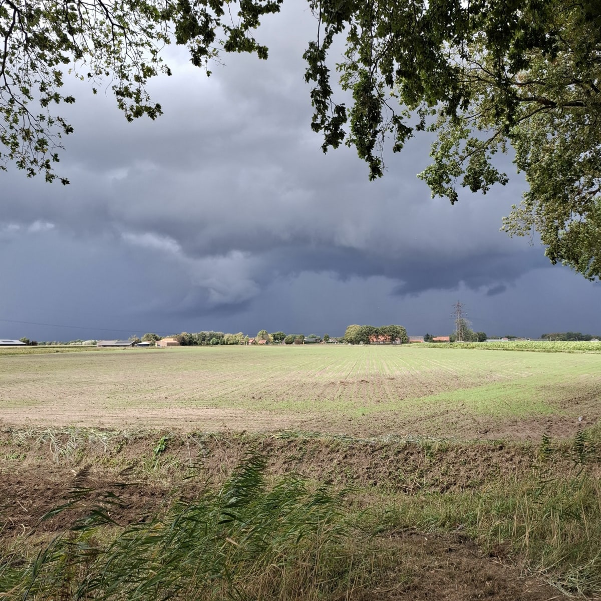 Onweer buitje - Roosendaal