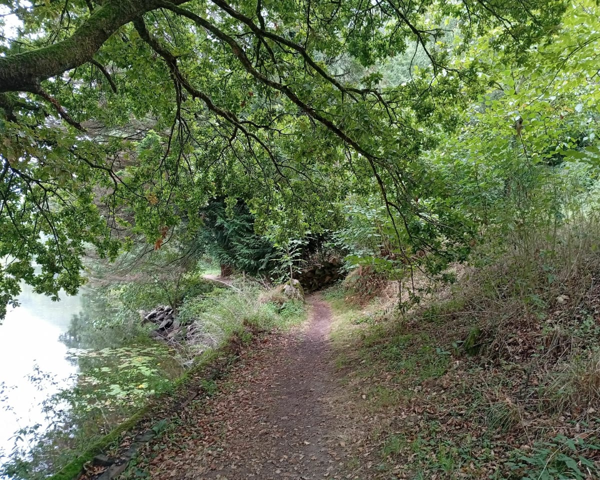 Ville de Maché - Épy