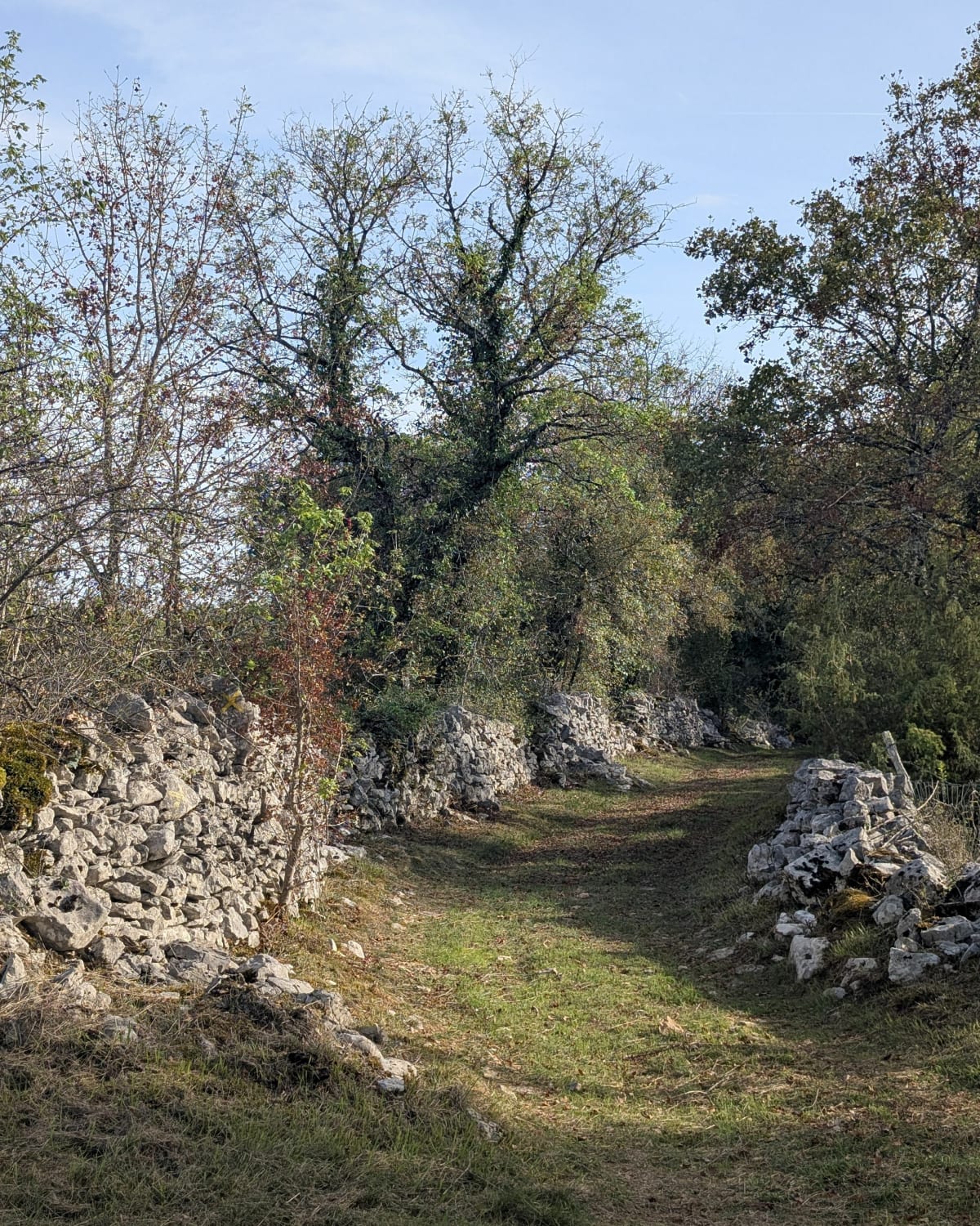 Balade du causse de Théminettes et les Roucous - Théminettes