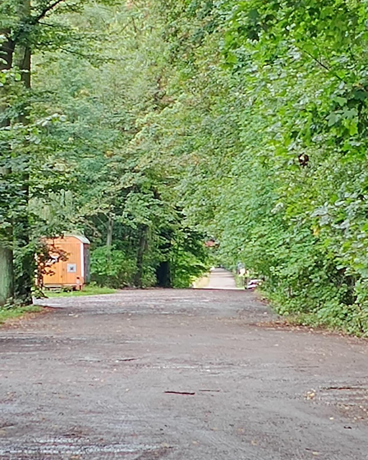 Obrzeża parku i Sportowy - Zabrze