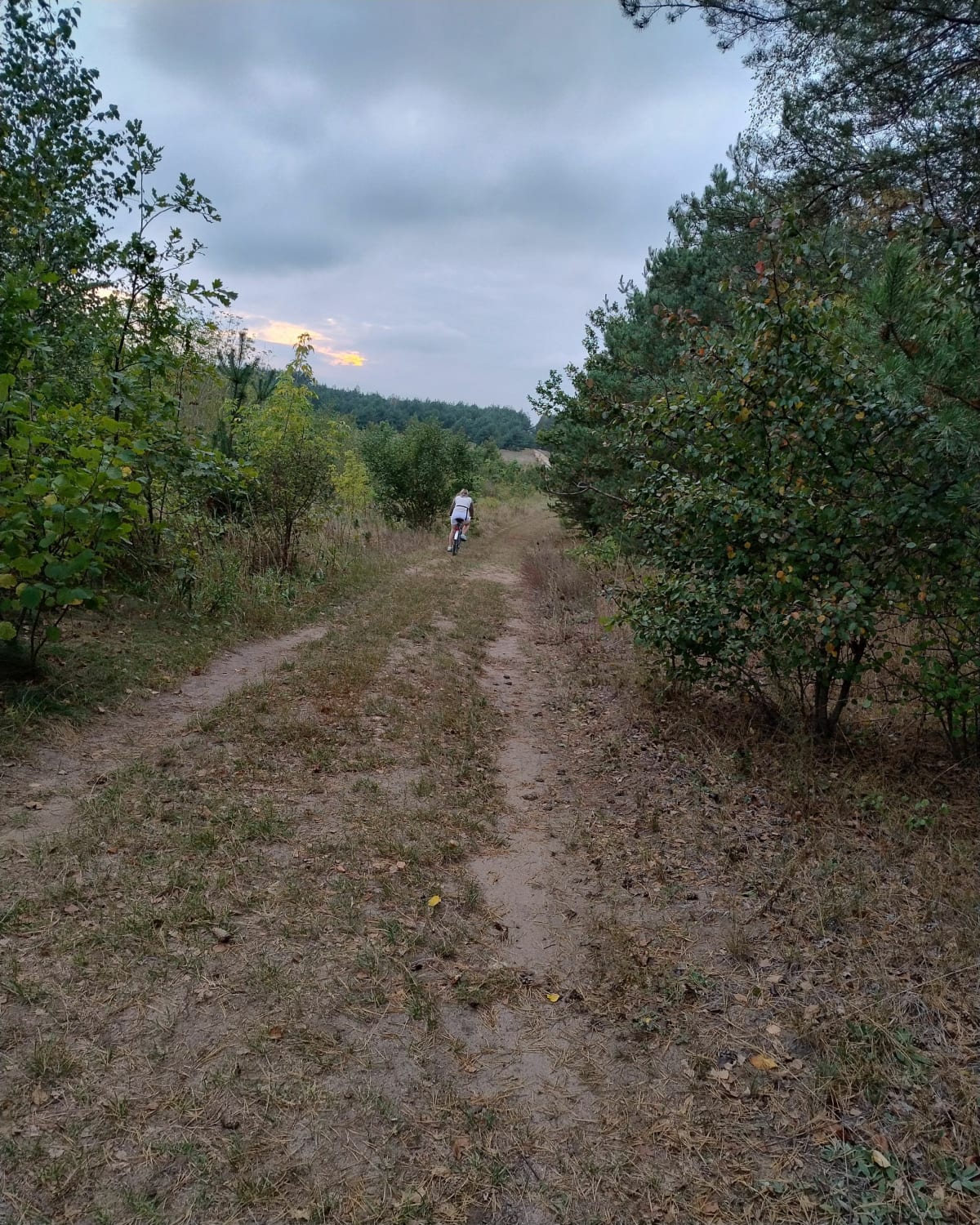 Supraśl Centrum - Las Krasny - Jaroszówka - Radosław