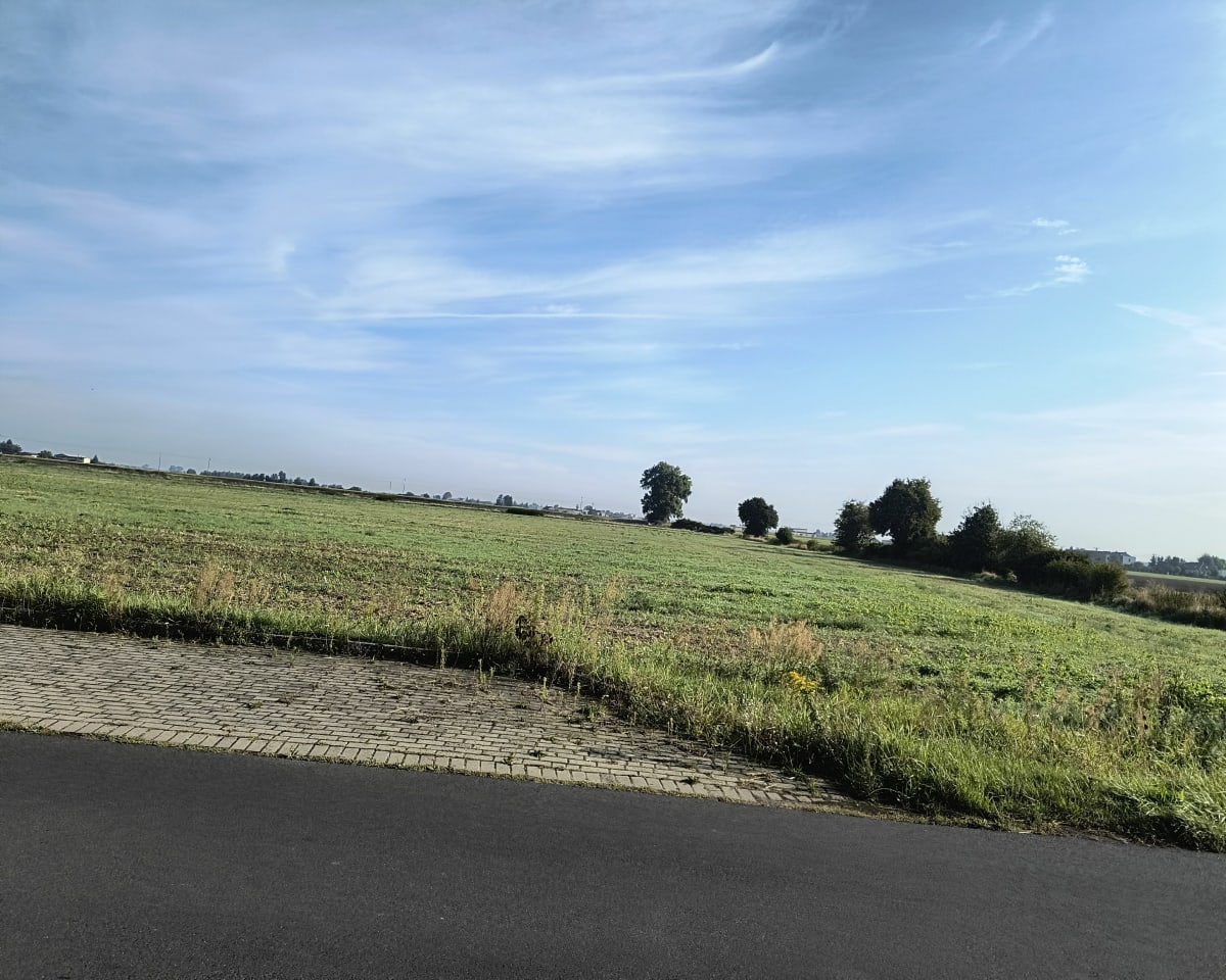 Spacer po mieście - Strzałkowo