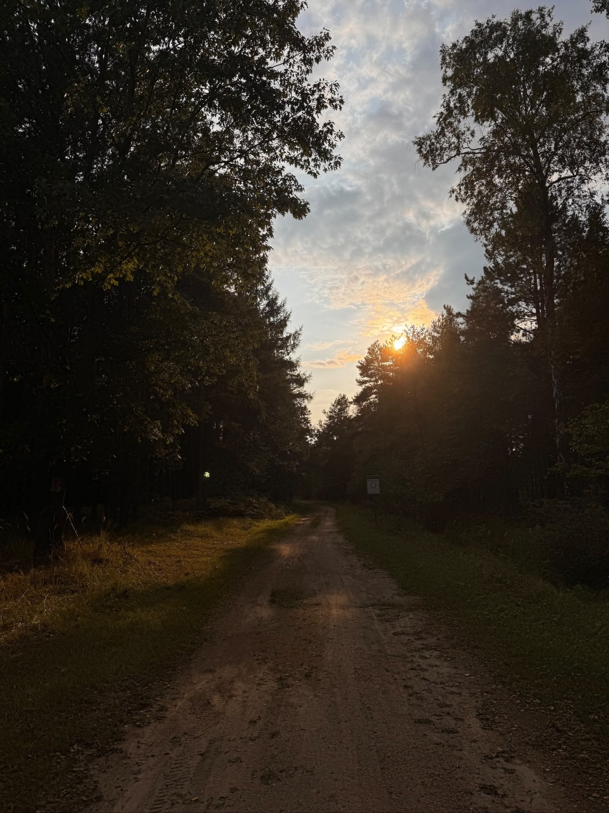 Chrzanów groble - Kinga