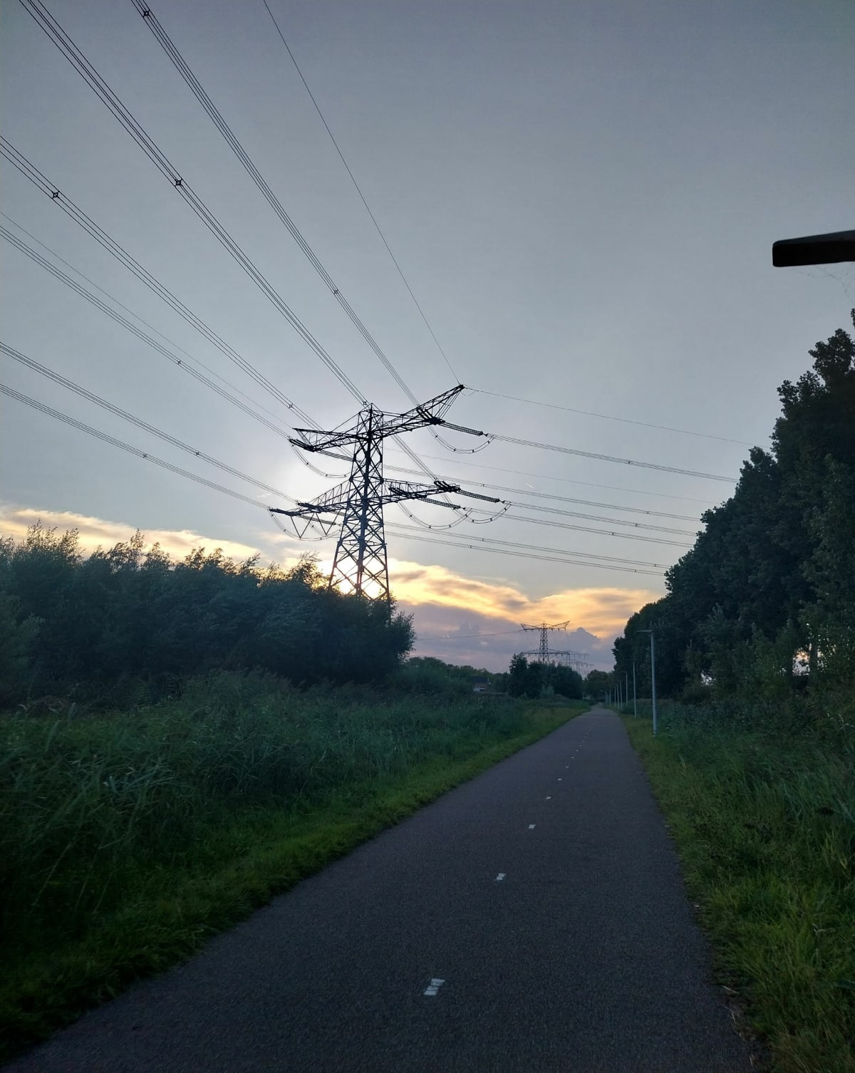 Papendrecht - Roos