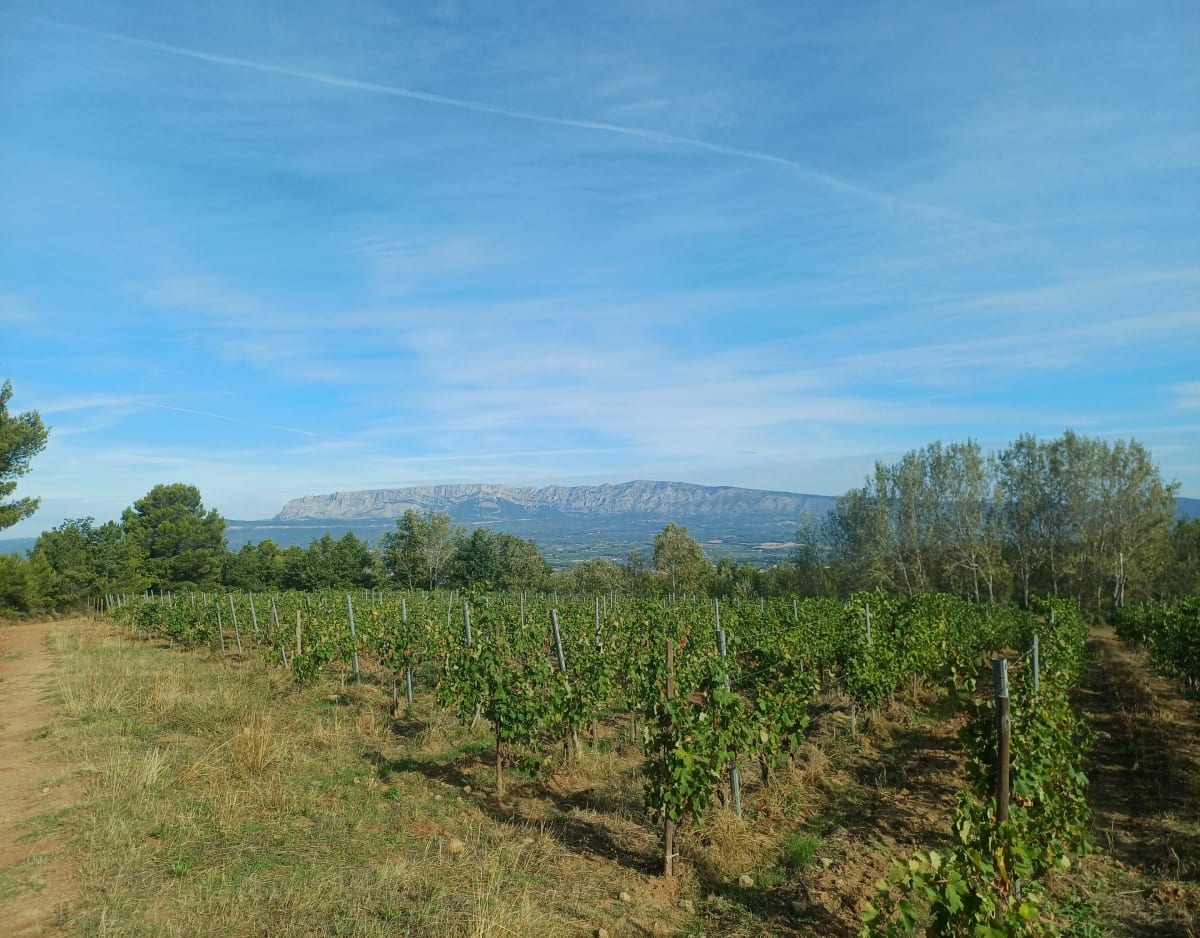 Balade de Grand Boise à Kirbon - Rémi