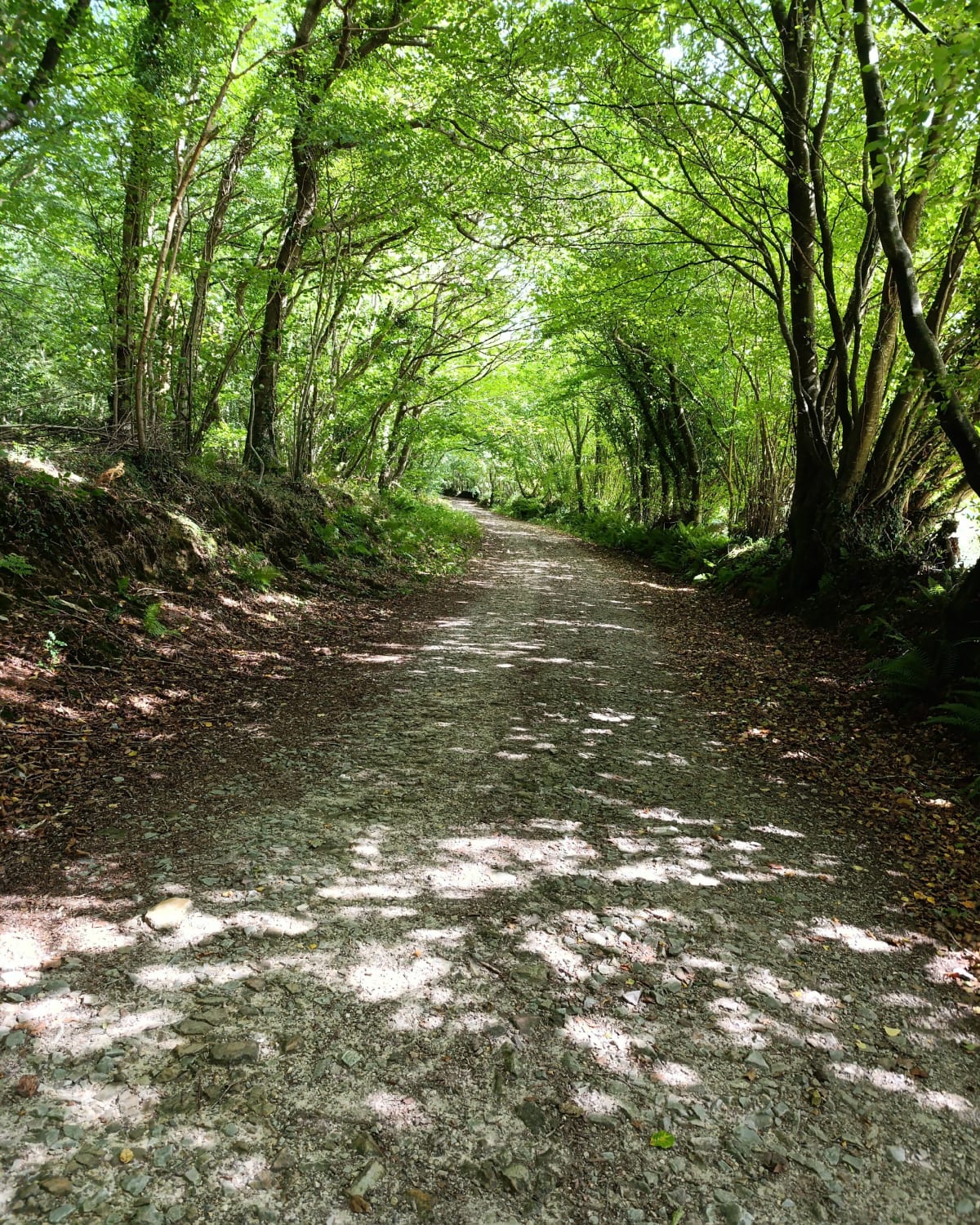 Vallée de Trottebec - Marie christine