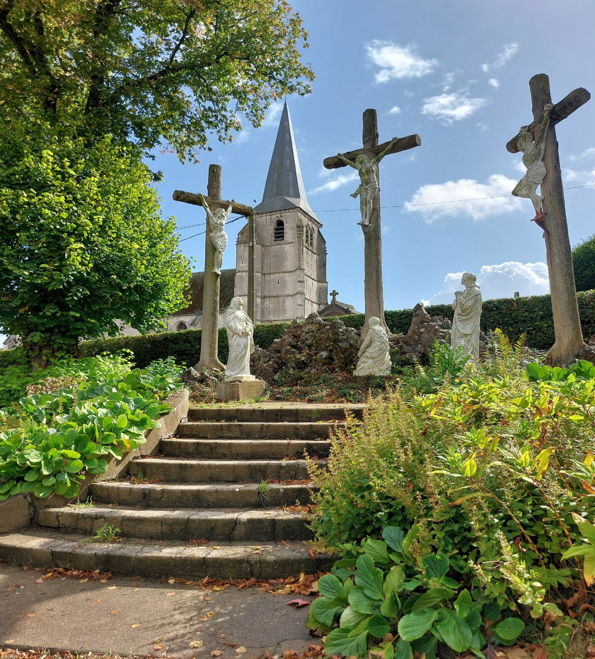 Via Francigena étape 7 de Thérouanne à Amettes - Roseline