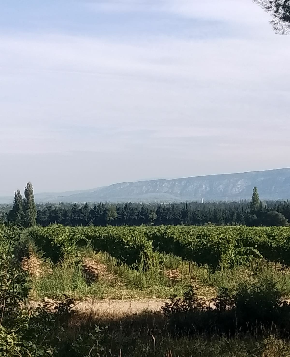 Les chemins du bien être à Lamanon - Lamanon