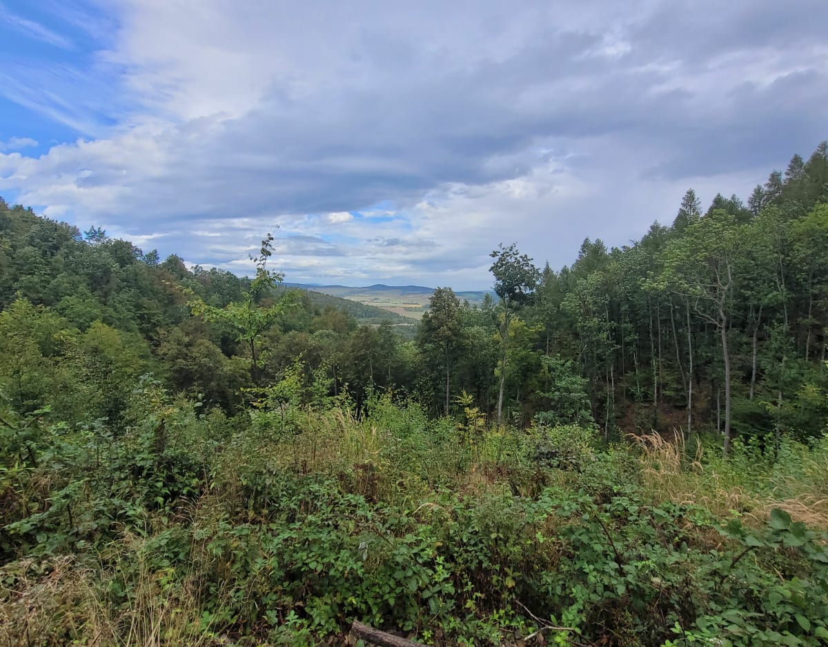 Bardo, obryw skalny - Paweł