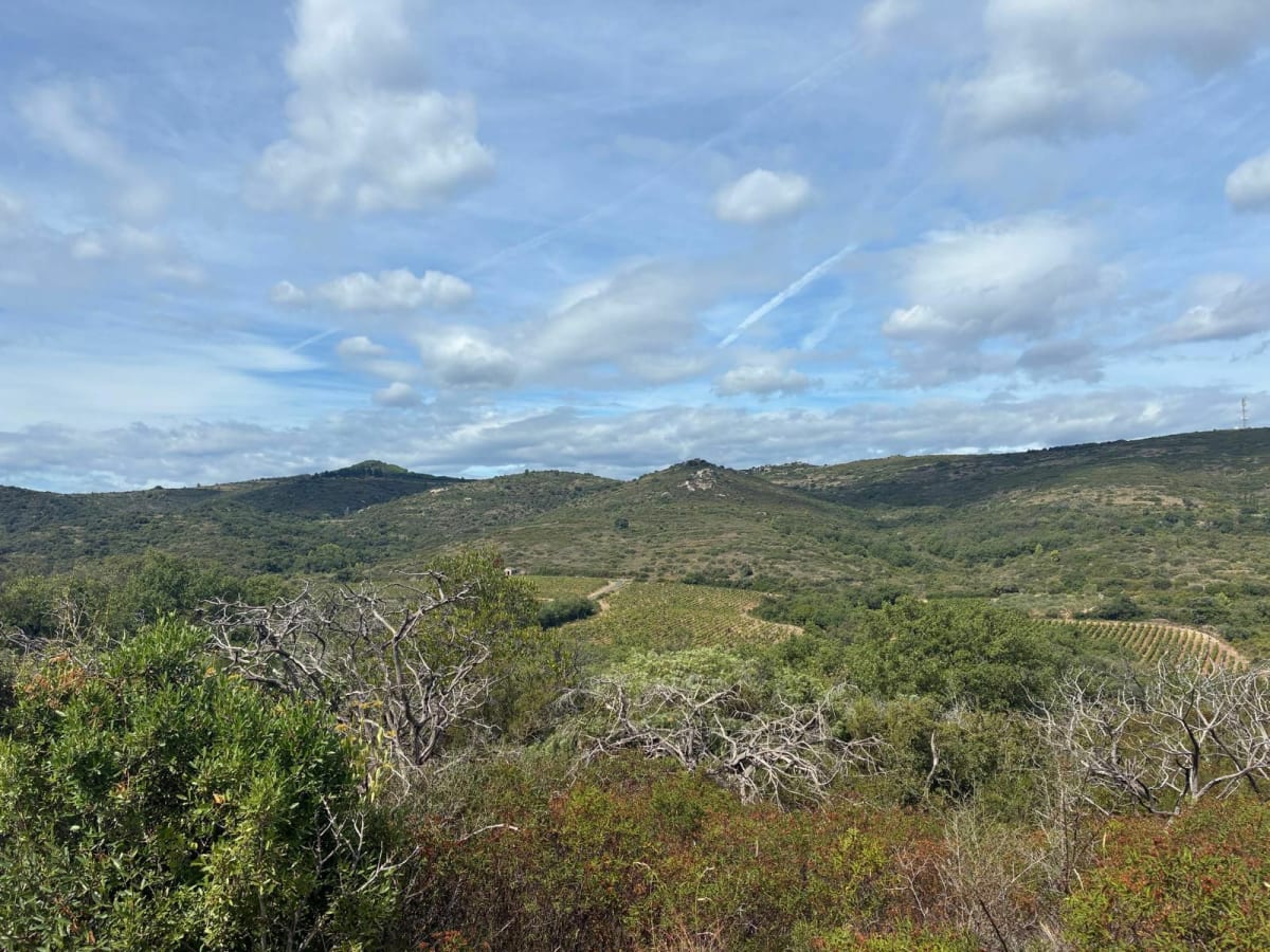 Balade courte autour de Fontès - Fontès