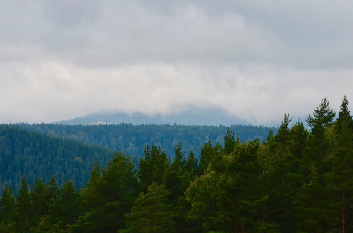 Balade depuis Fouday - Fouday
