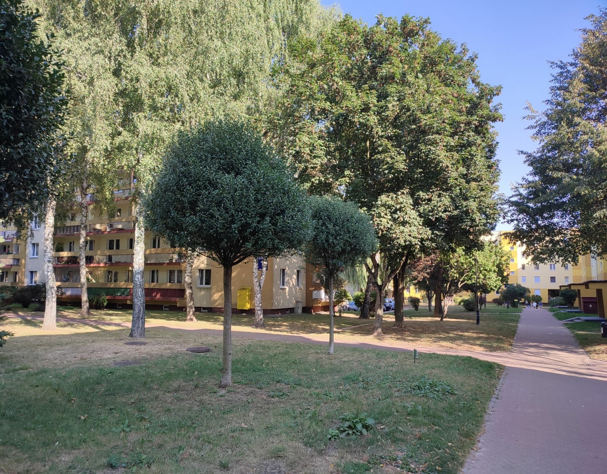 Park spacerowo z psem - Ewa