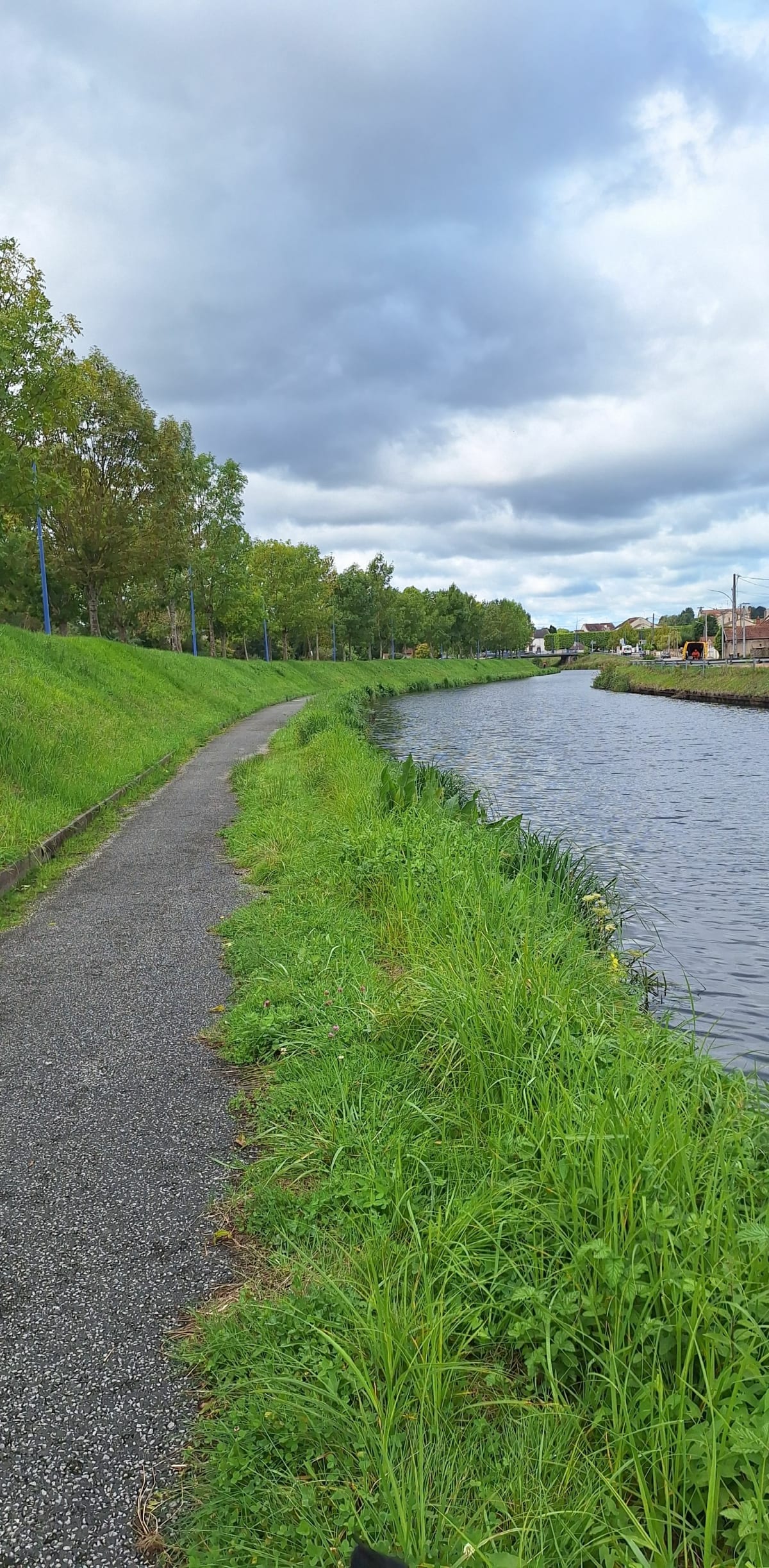 Petite balade à Ecuisse et canal du Centre - Aurelia