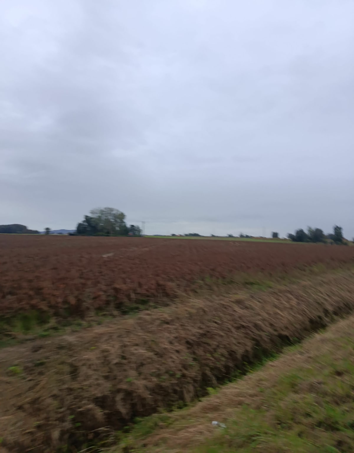 Balade sur Arnèke - Corinne