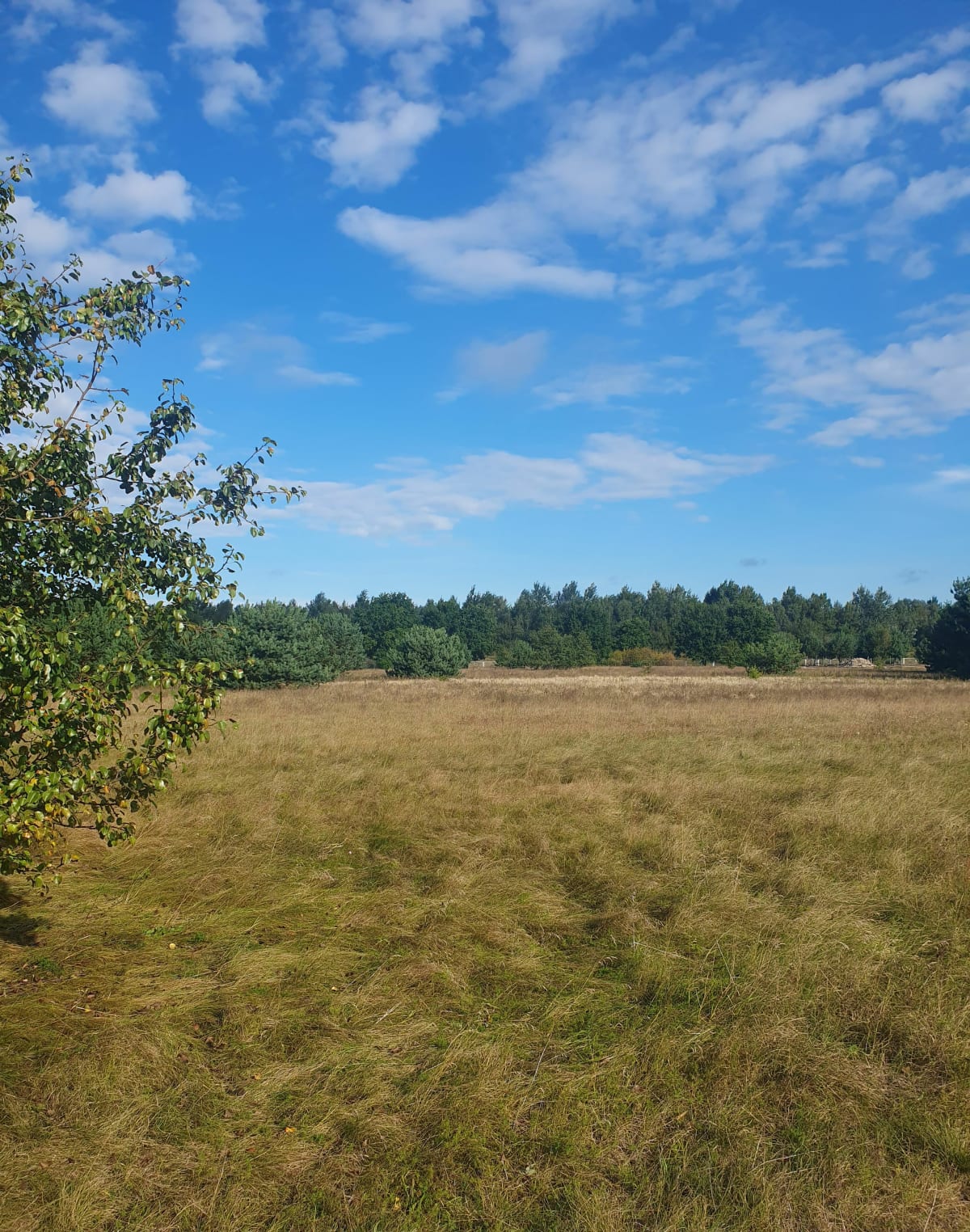 Wieliszew Park - Karolina