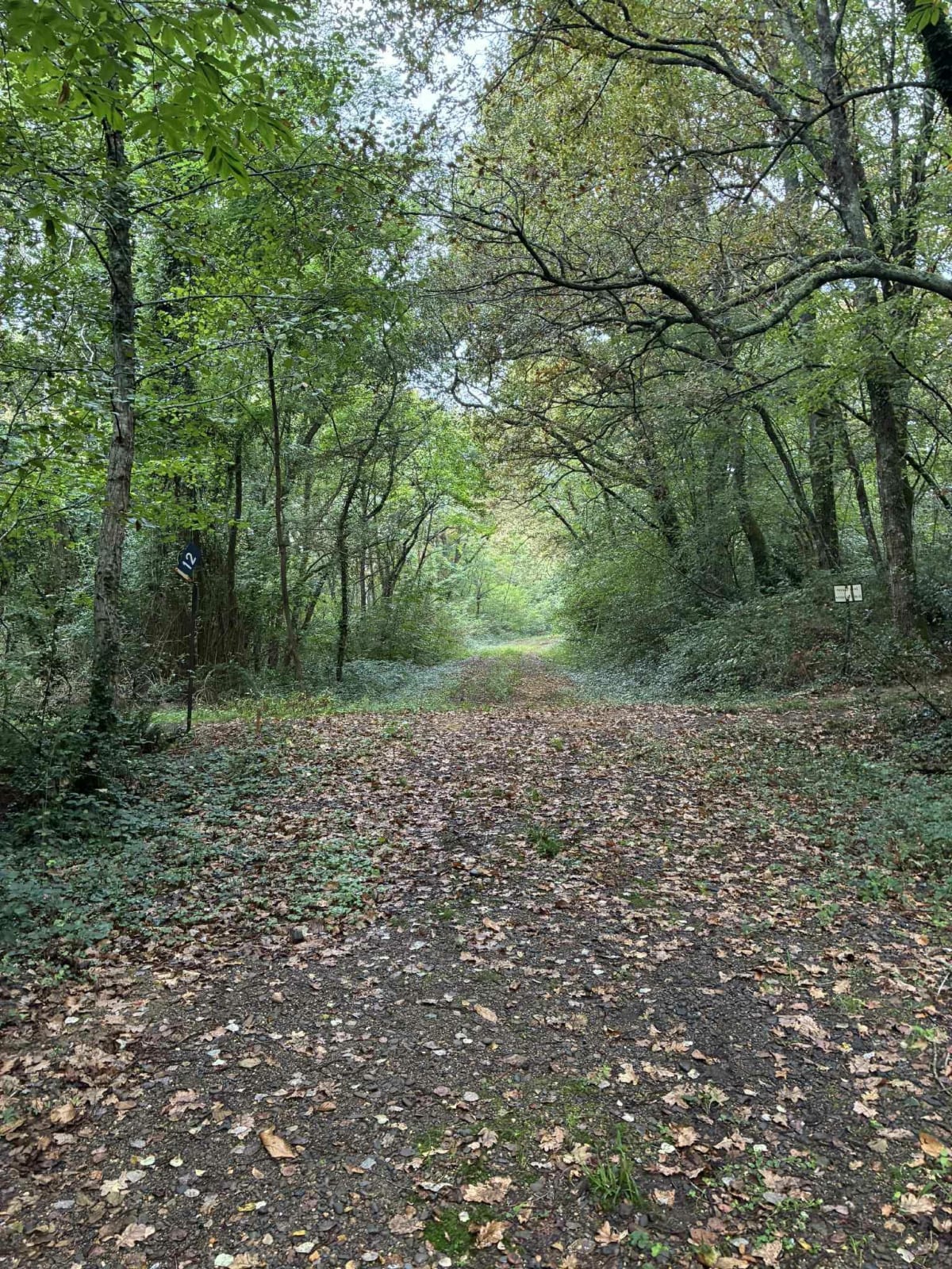 Horsarrieu et ancienne ligne de chemin de fer, Hagetmau Saint-Sever - Doazit