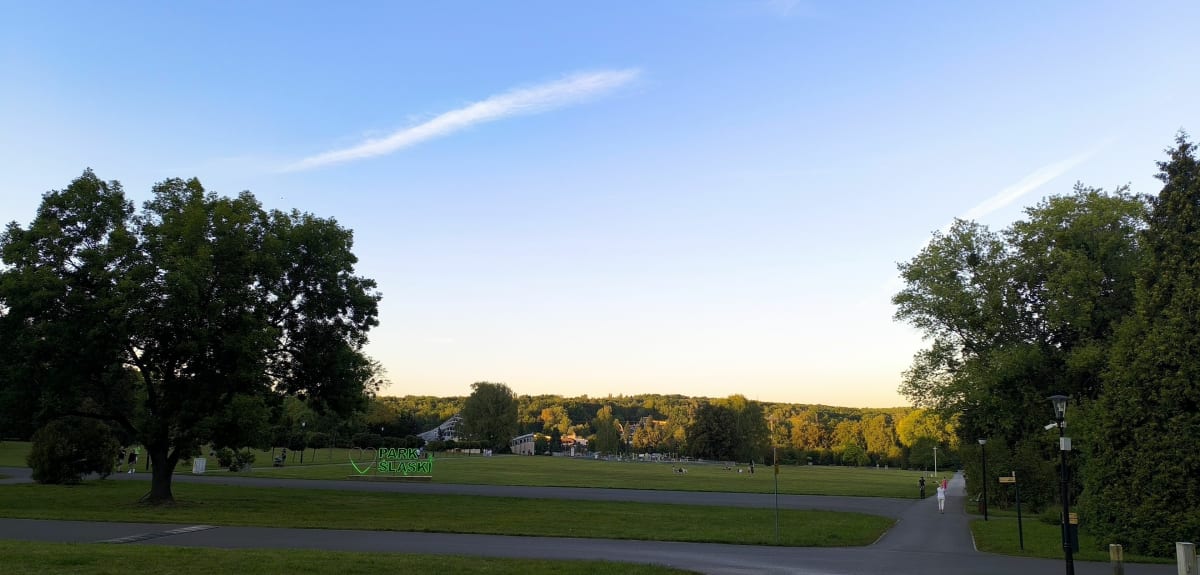 Park chorzowski - Artur