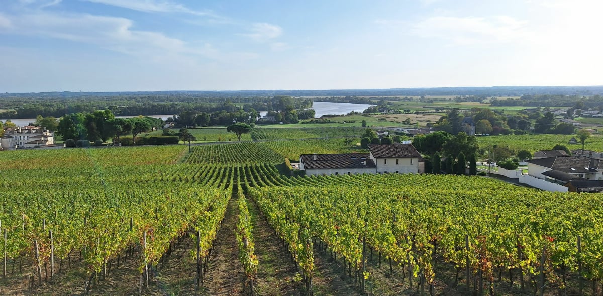 Fronsac et ses châteaux, par Capet - Fronsac