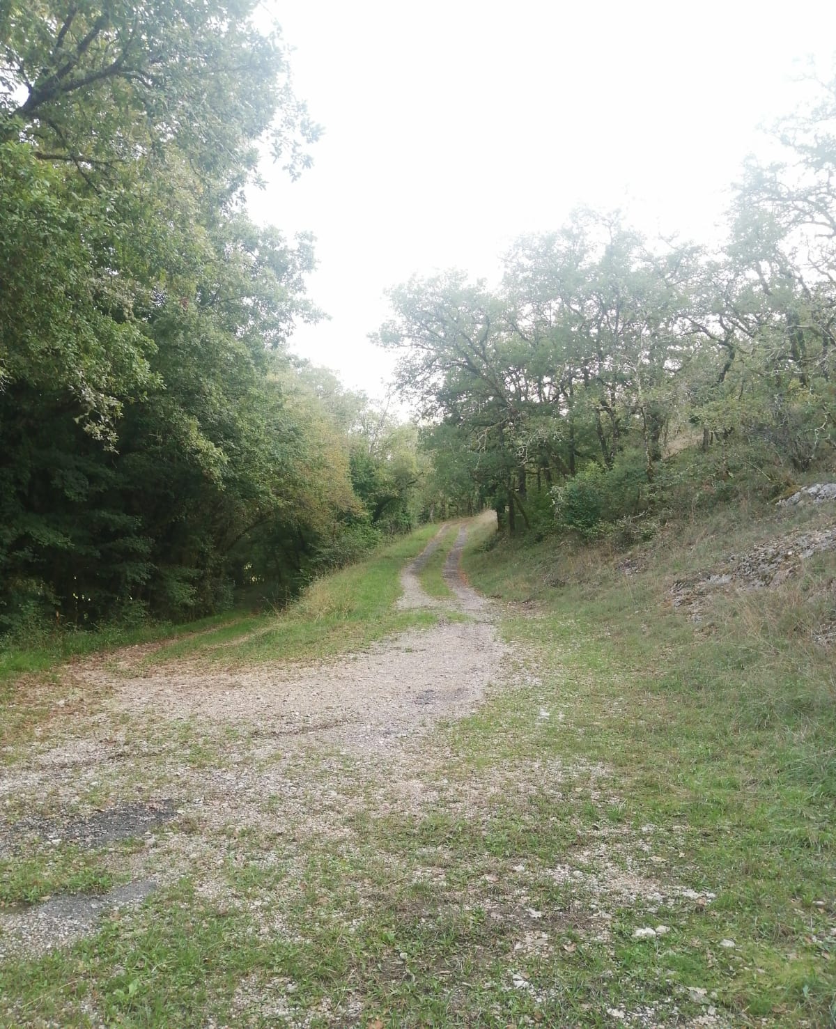 Petite boucle sur chemin et sentier forestier - Bellefont-La Rauze