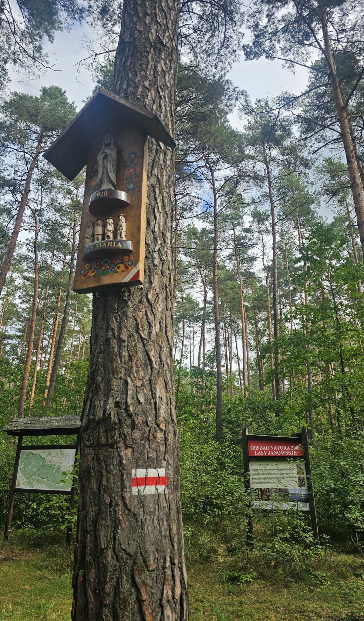 Rezerwat Imielty Ług - do torfowisk - Gierlachy