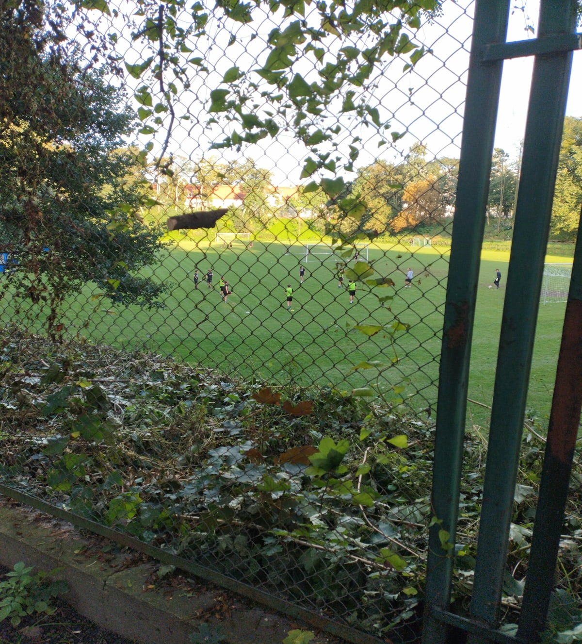 Park modrzewie - Kamila
