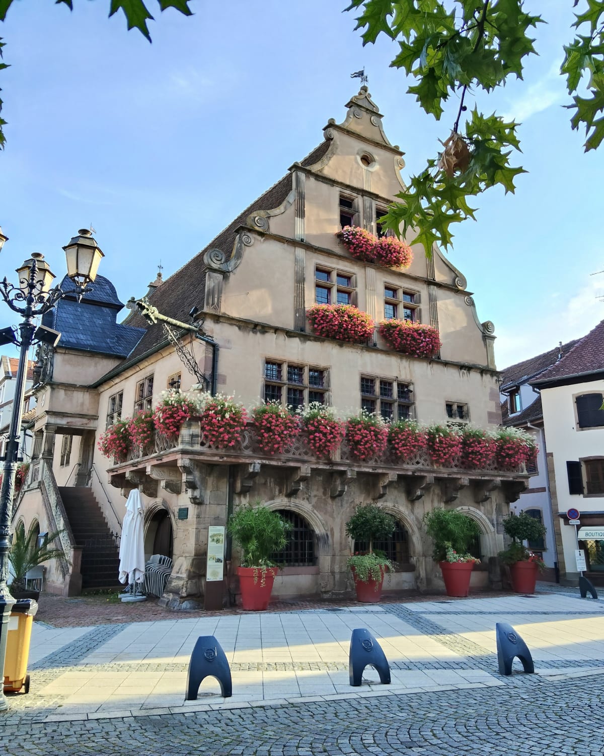Promenade à Molsheim - Thibault