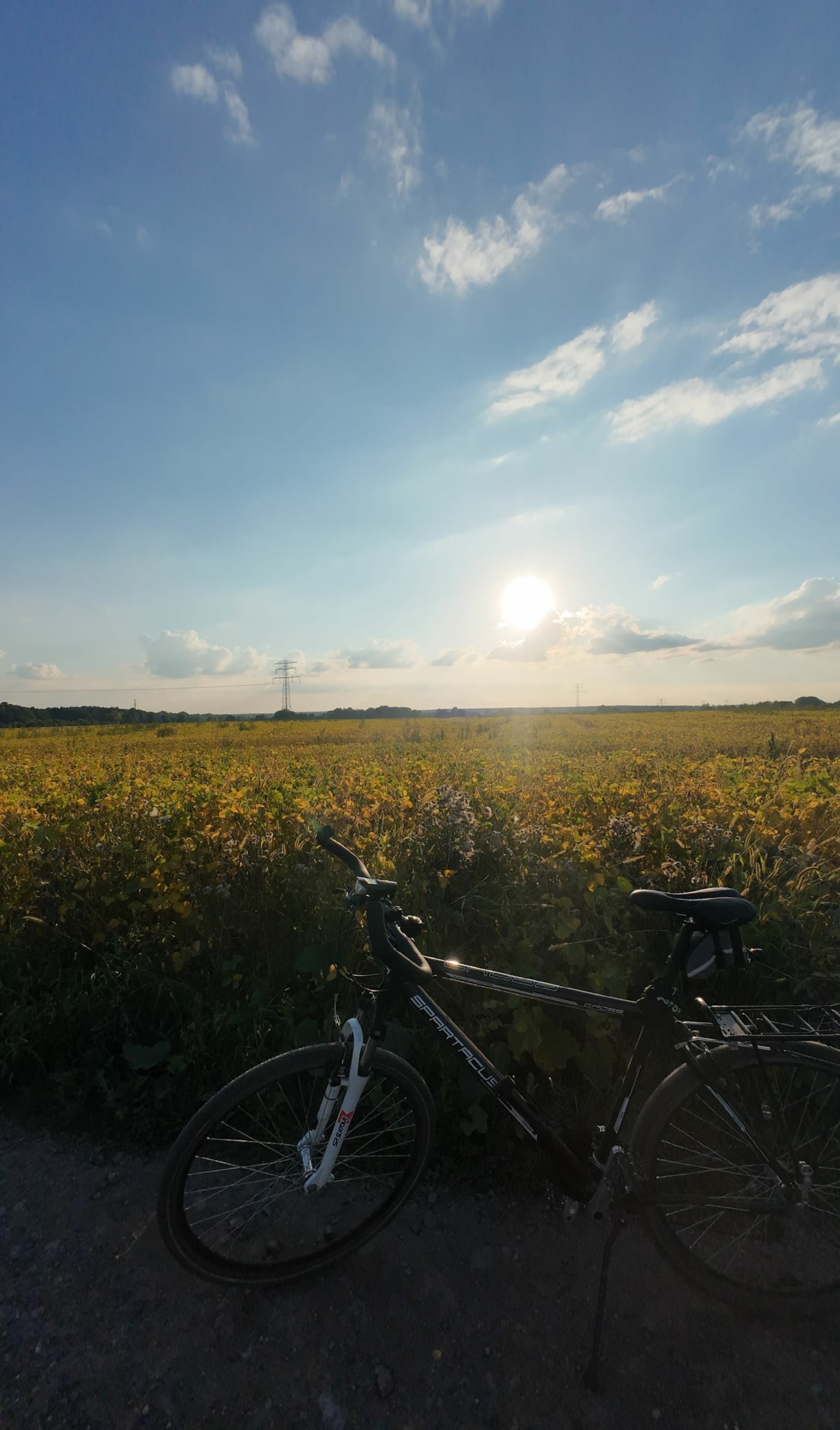 Knurów, pętla i Bojkow - Tomasz