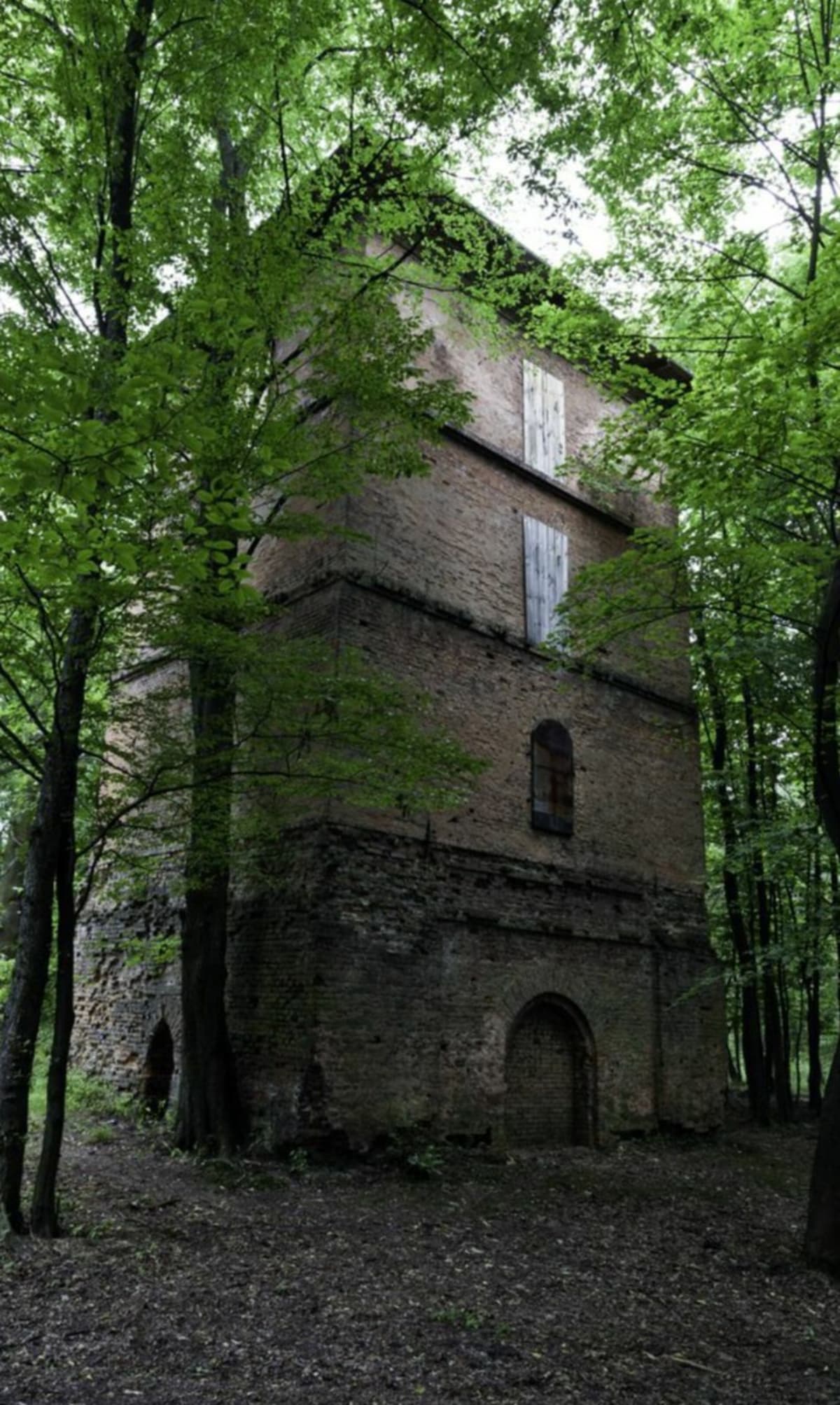 Gichta - pętla - Alicja