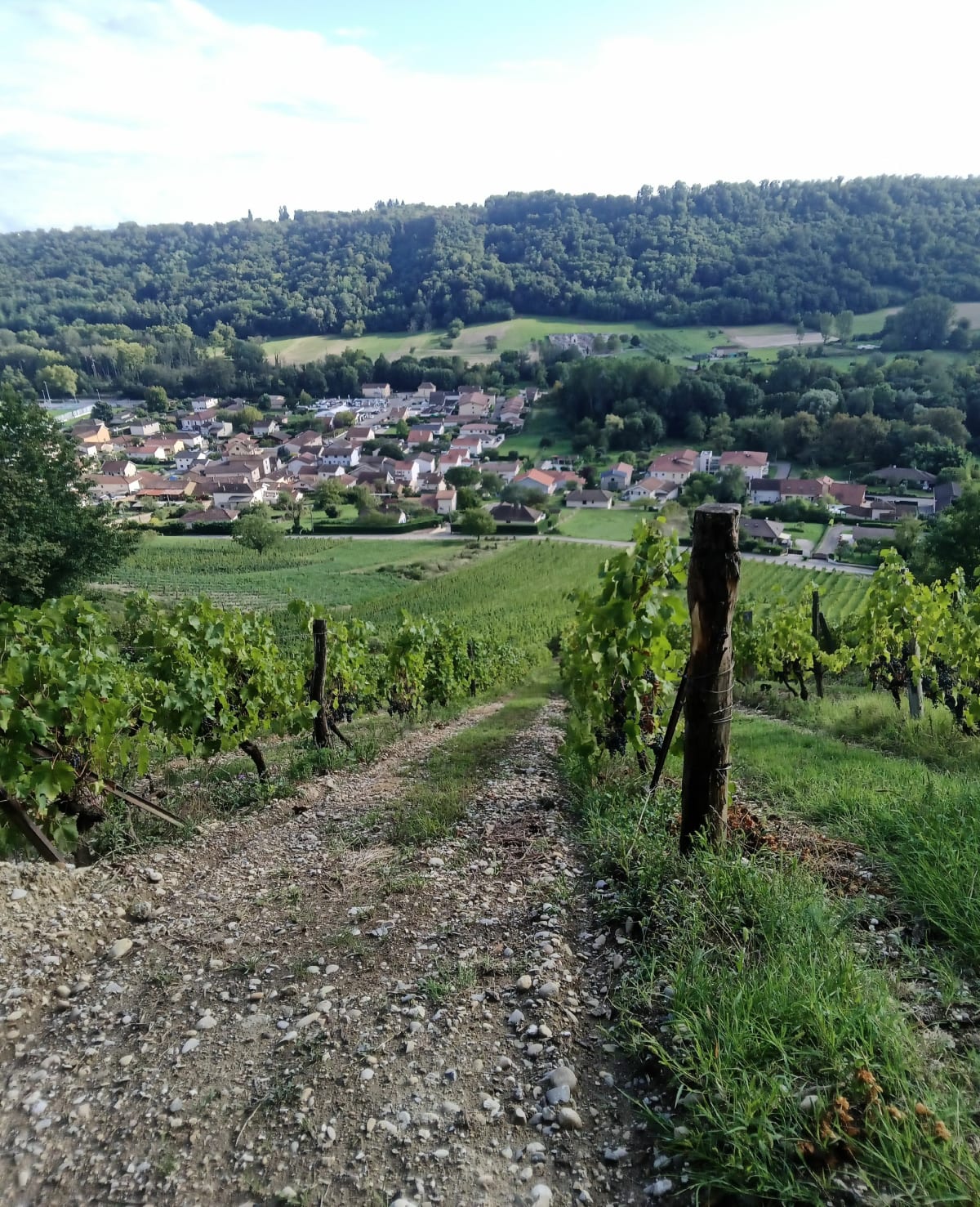 Balade autour de Saint-Savin - Jean-Baptiste