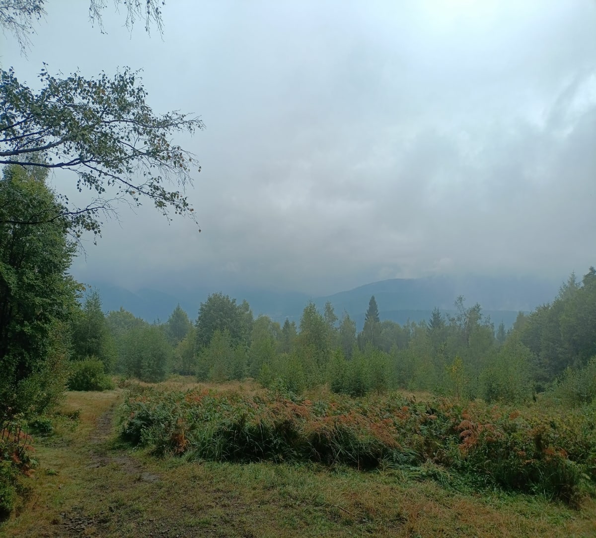 Beskid Mały - Hrobacza łąka - Bartosz