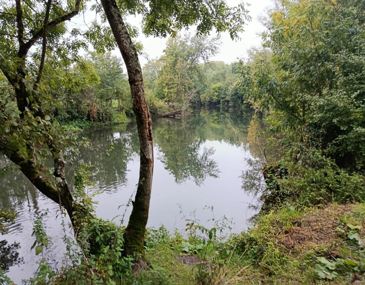 Boucle Châteauroux Saint Maur - Remy