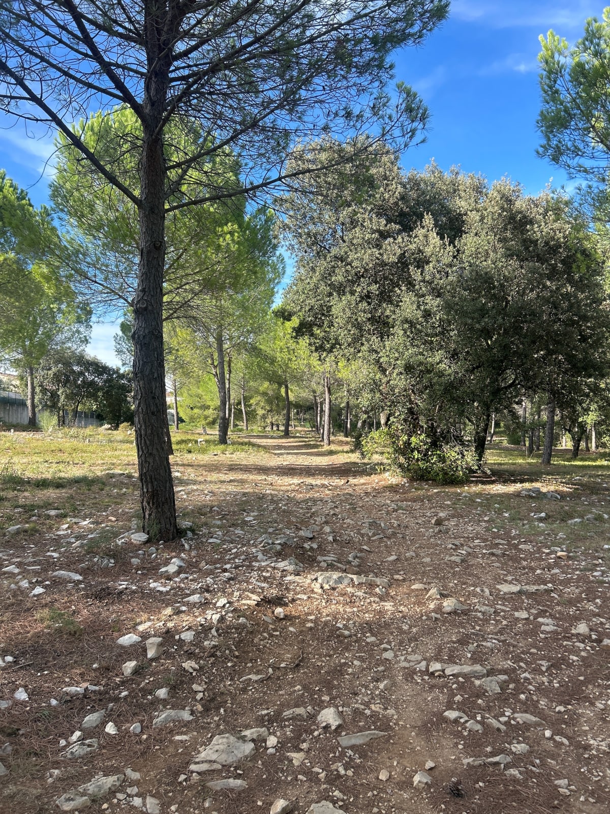 Balade à travers la garrigue de Teyran - Ludivine
