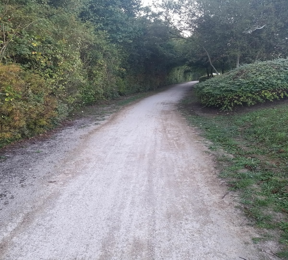 Balade au Bois de St-Europe - Frédéric
