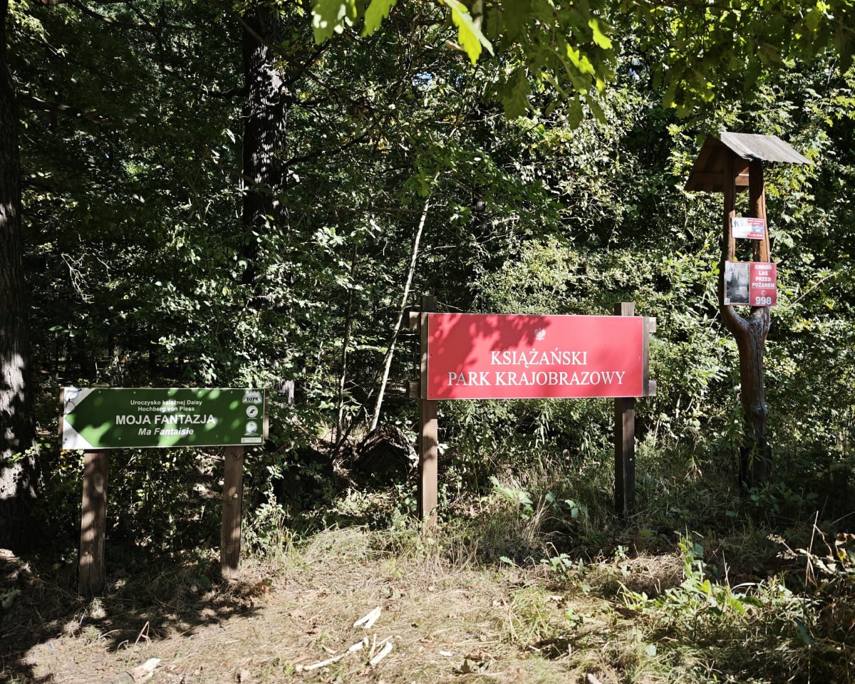 Podzamcze - zamek Ciszy - Tomasz