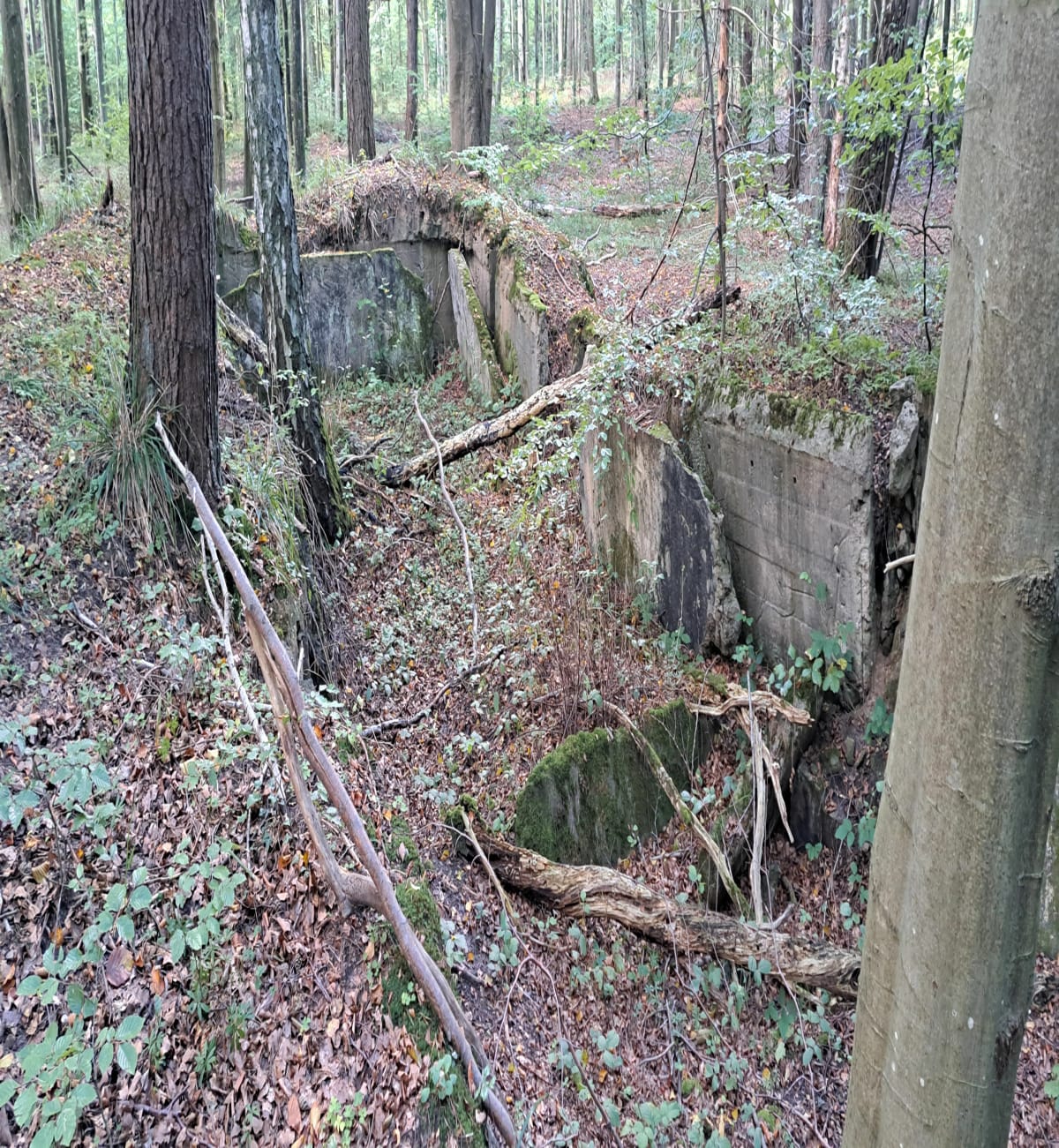 Ruiny Bunkra i Lezyce - Piotr