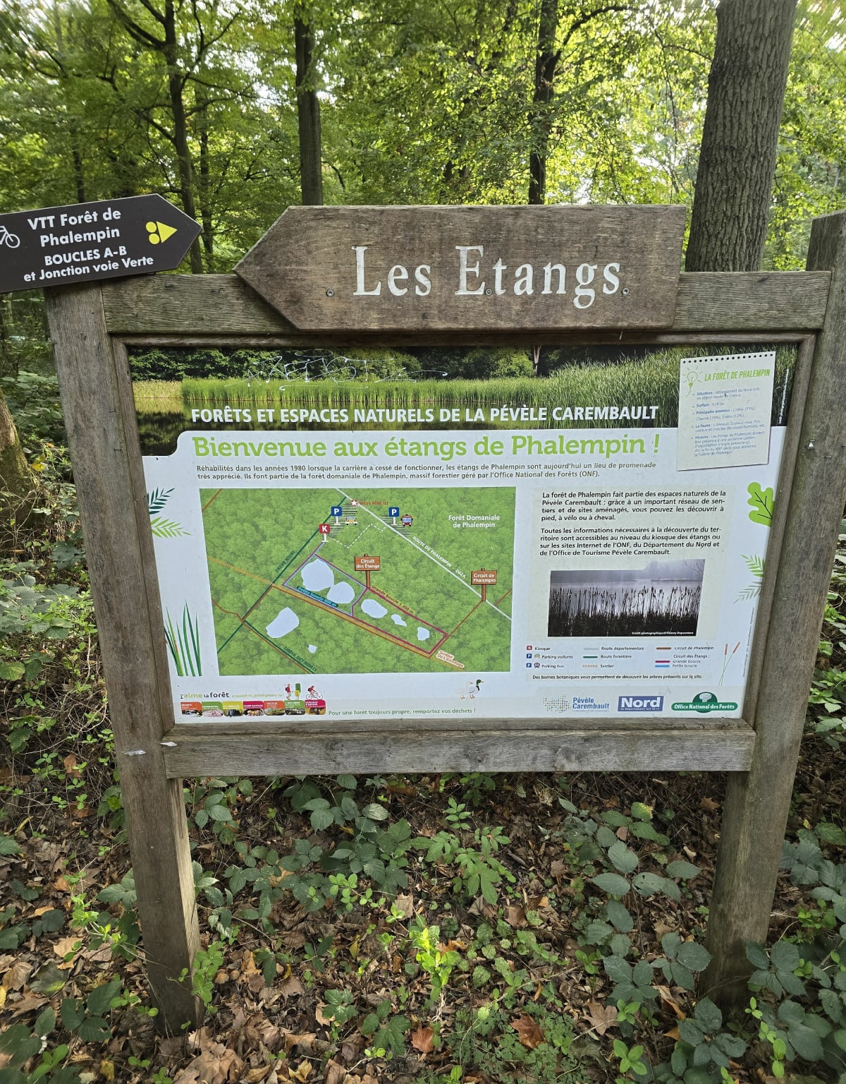 Direction la forêt de Phalempin - Carvin