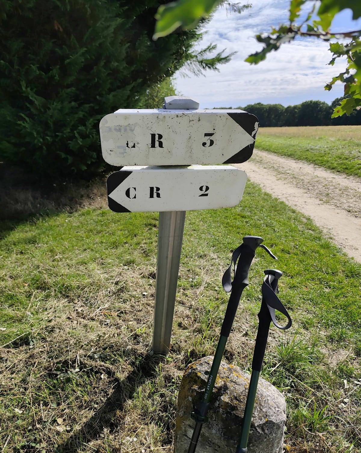 Forêt d'Amboise et Étang de la Varenne sous Chandon - Sébastien 