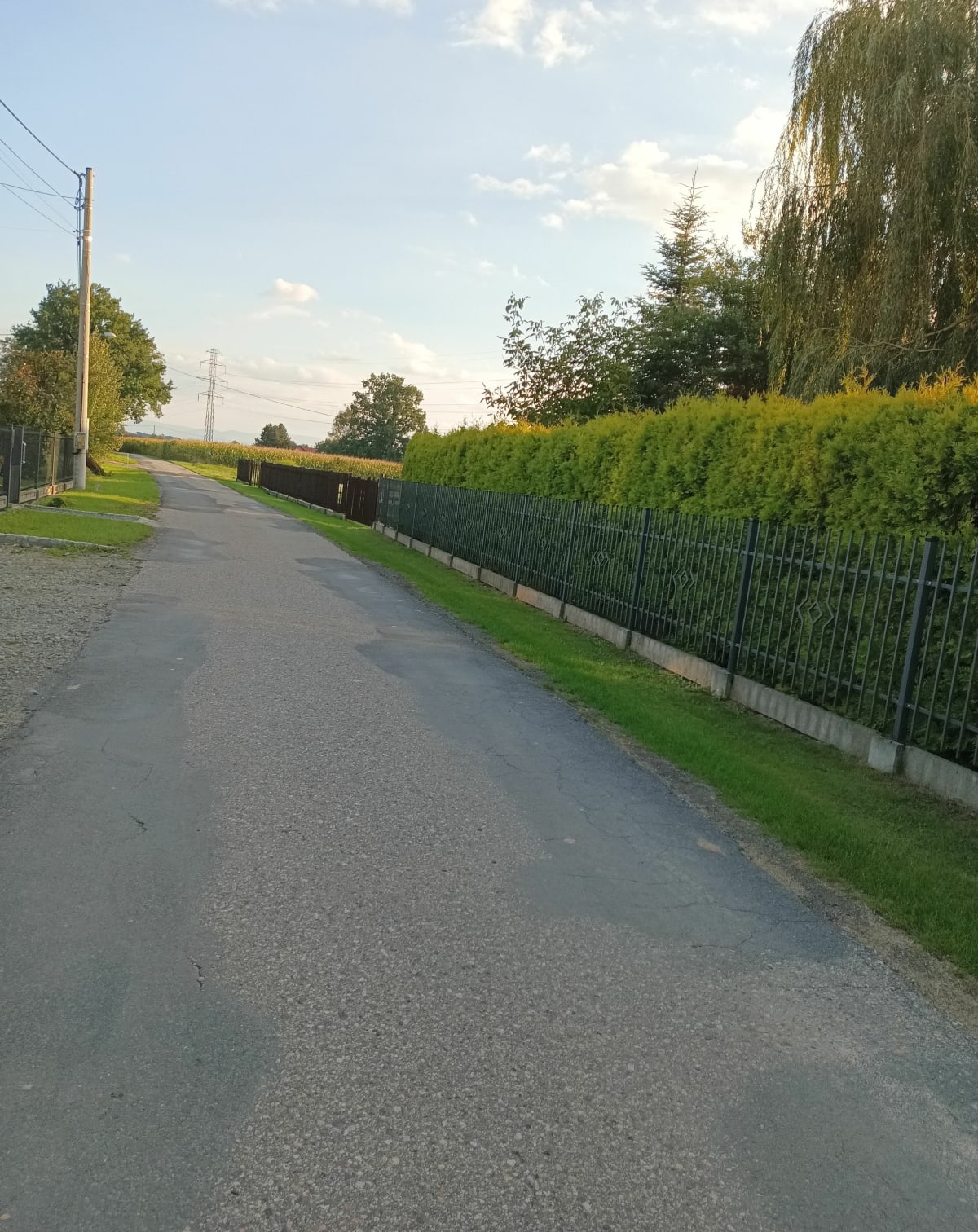 Spacer po wsi i Brzezówka - Filip